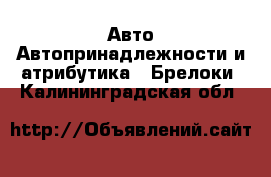 Авто Автопринадлежности и атрибутика - Брелоки. Калининградская обл.